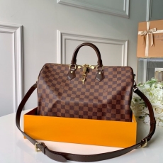 LV Travel Bags